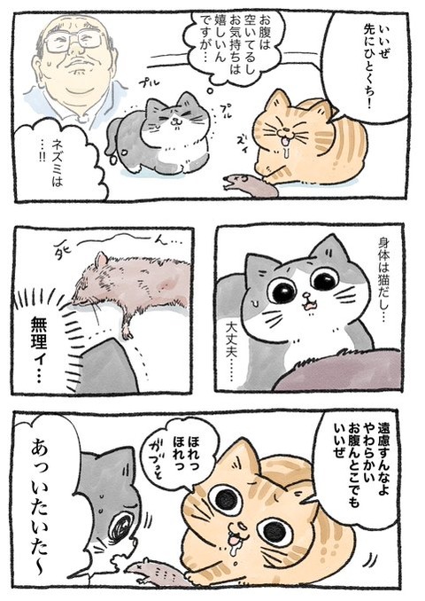 nekooji_8_1