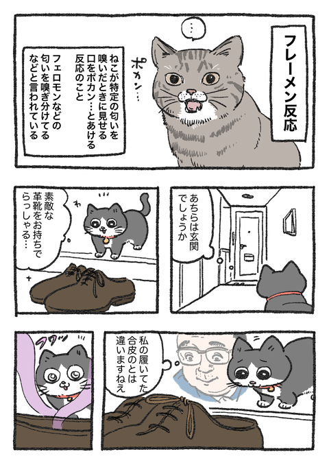 Nekooji_0402_png_001