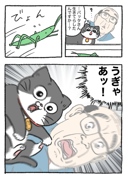 Nekooji_146_png_002