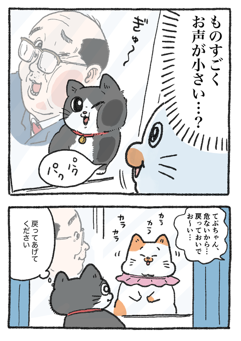 Nekooji_0409_png_002