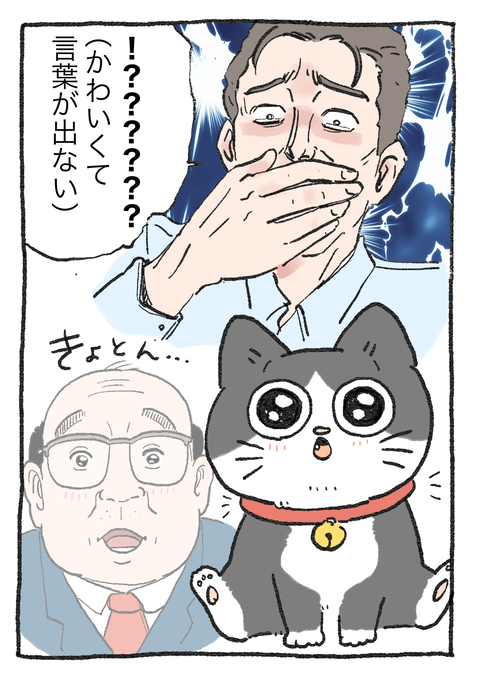 Nekooji_syoseki_blog_021