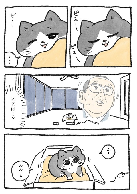 nekoji_12_2