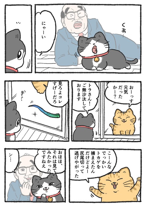 GKuXBtXbwAA1tga