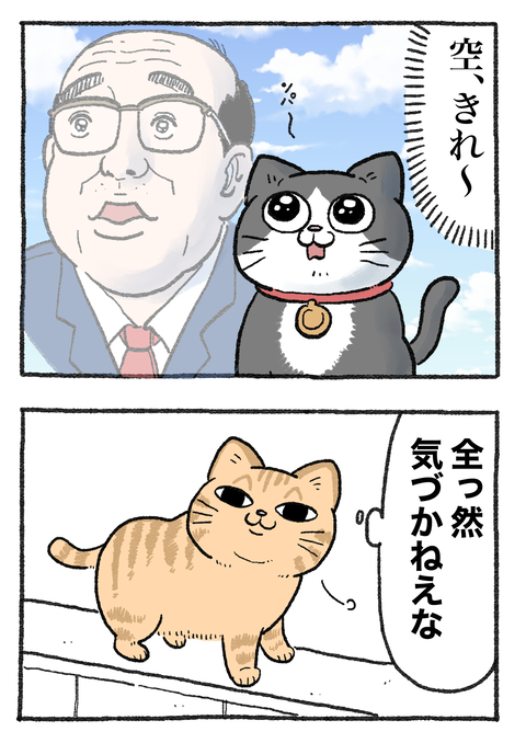 Nekooji_144_png_002
