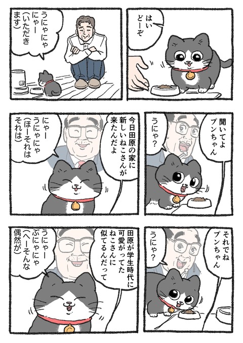 GGYpw53bQAAEdJj
