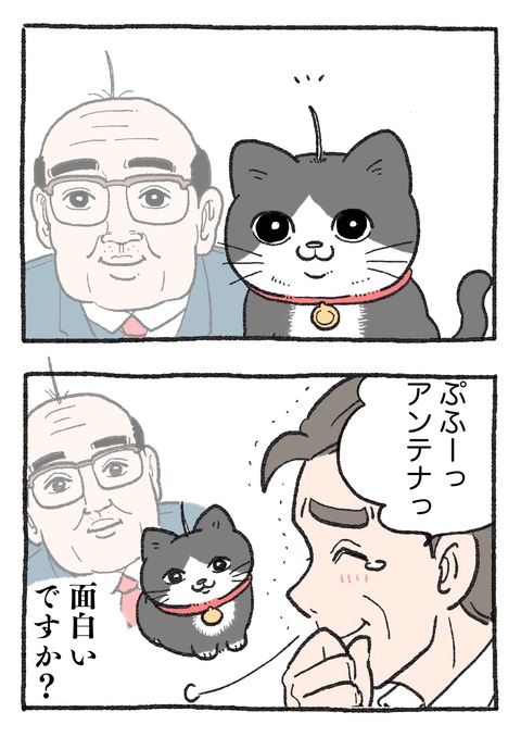 nekooji_216_2