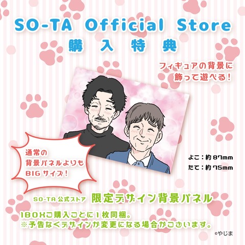 sotafig
