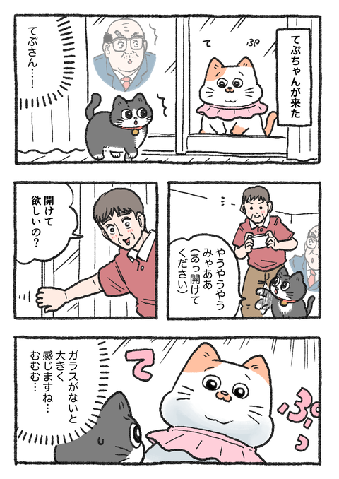 Nekooji_0609_png_001