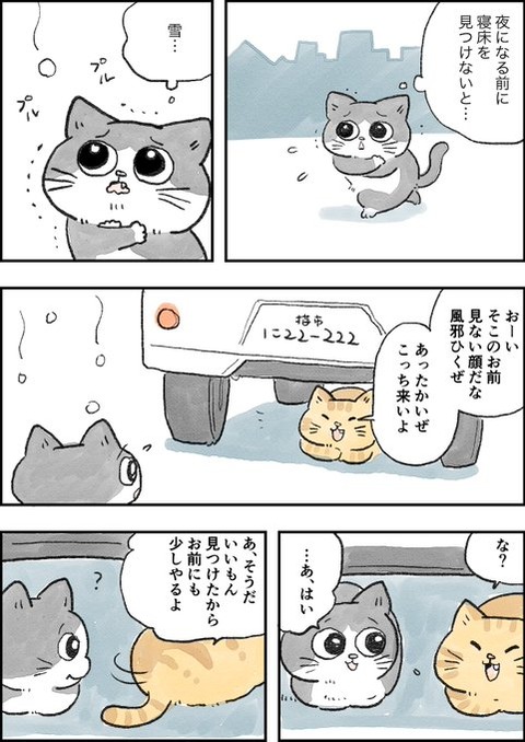 nekooji_6_1