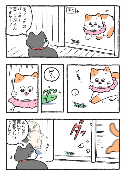 Nekooji_146_png_001