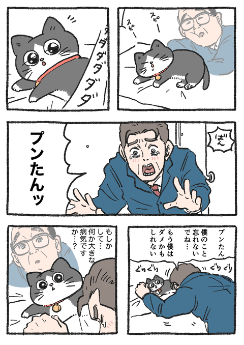 Nekooji_0422_png_001