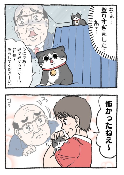 nekooji_212_2