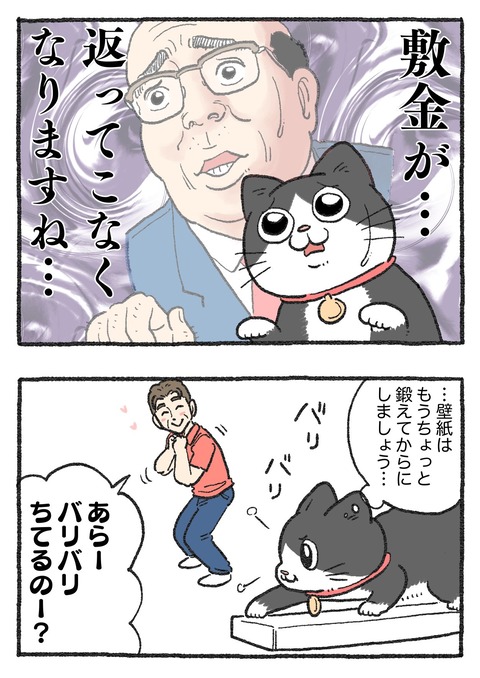 nekooji_186_2