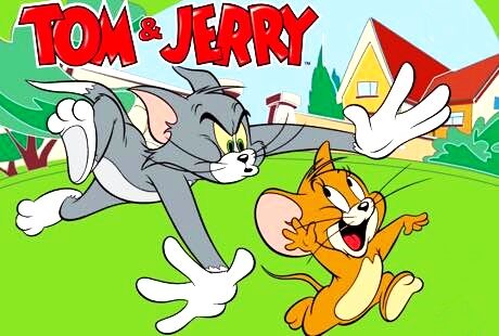 三つ目の猫と探索する鼠の夢 写真帖