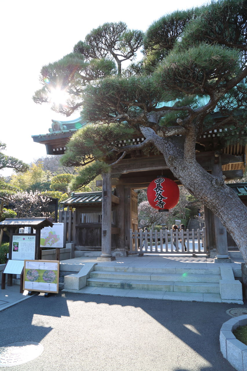 神奈川県 鎌倉長谷寺 旅と写真 神奈川県 鎌倉長谷寺 旅と写真