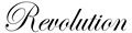 revolution(1500×375)_03