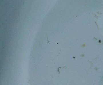 img20180428_132555