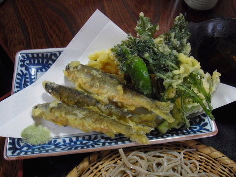 焼きとんちゃん つまみ喰い日記 焼きとんちゃん つまみ喰い日記