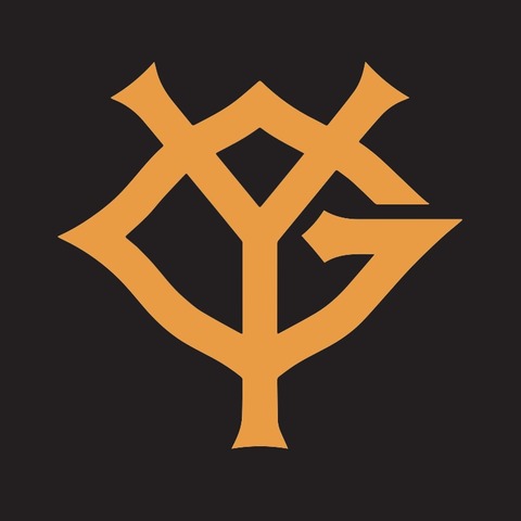 【悲報】巨人、本塁打得点防御率得失点差すべて最下位ｗｗｗ