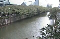 【悲報】目黒川、やばそう