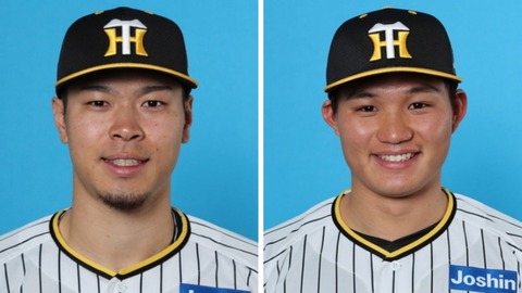 8c564430-3ba7-4eb3-a598-7bf84f9a91a9