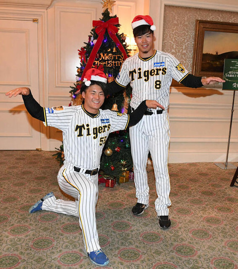 さとてる（24本→20本→24本→16本）