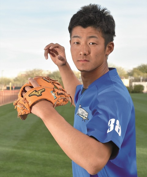 ファイターズ石井一成（31歳、二遊三、Ｃランク）国内FA権行使。今季成績108試合 .259 6 30 ops.689