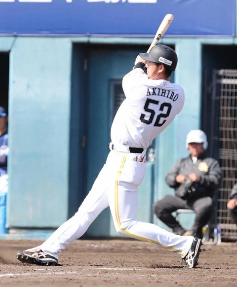 20260301s10001173377000p_view