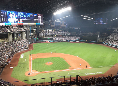 【比較】エスコン「年間137本のホームランが出ます」神宮「年間131本のホームランが出ます」甲子園「年38本」