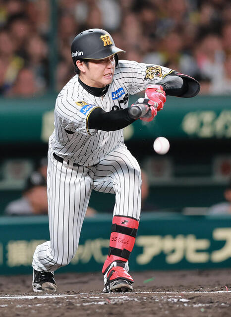 20260830-38301338-nksports-000-2-view