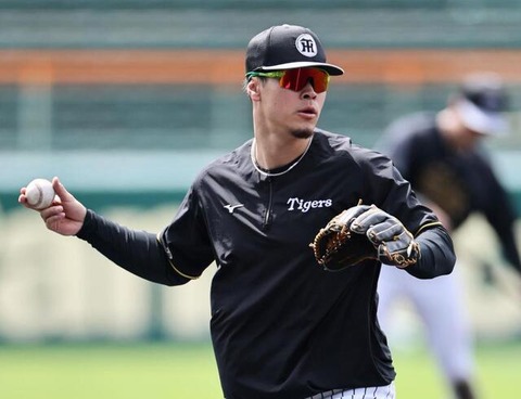 佐藤輝明「打率.384(73-28) 5本 19打点  OPS1.207 」←こいつwwwwwww