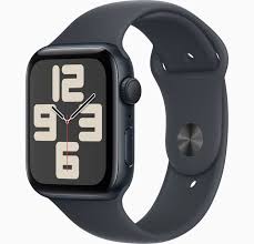 ねえねえApple Watch持ってる奴、満足か？