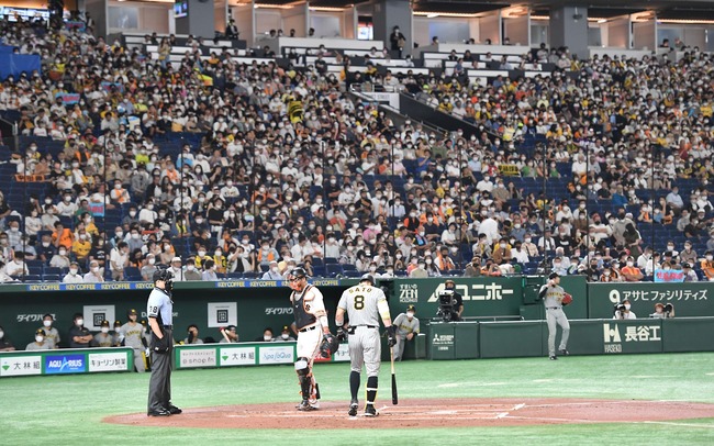 佐藤輝明のバットが当たった観客、お詫びにサインボールを貰う