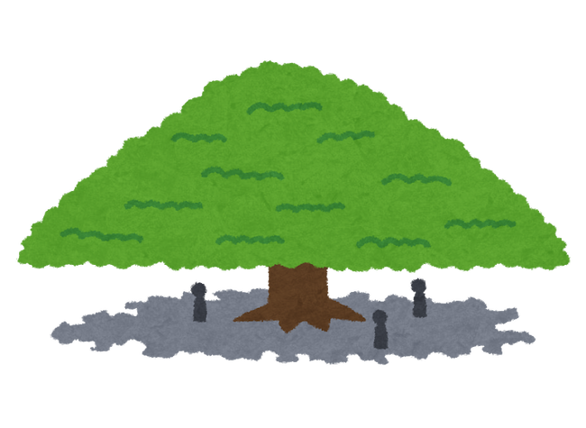 nemunoki_monkey_pod_tree