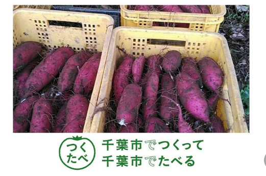 ダウンロード - 2020-10-27T171246.177
