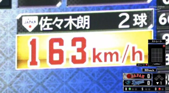 WS000204