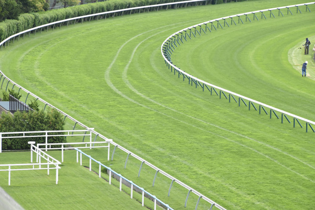 タイヤ痕が残る函館競馬場の芝コース（８月２日撮影）