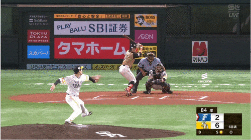 速報 スギノール 緊急来日 スポキチ速報