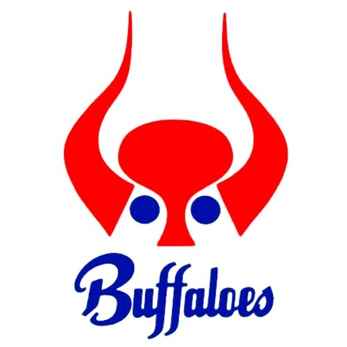bf133d5e74ed5c60644a380cf0dd3203