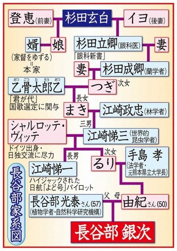 広島ドラフト6位・長谷部銀次の家系図wwwwwww