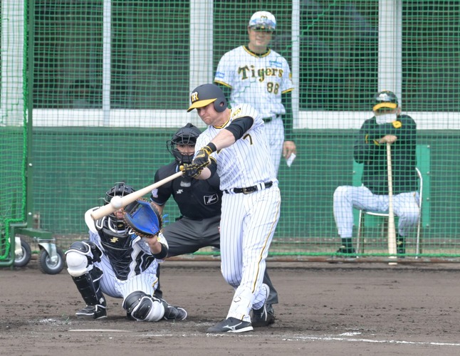 阪神新助っ人ノイジーの打撃ｗｗｗｗｗｗｗ