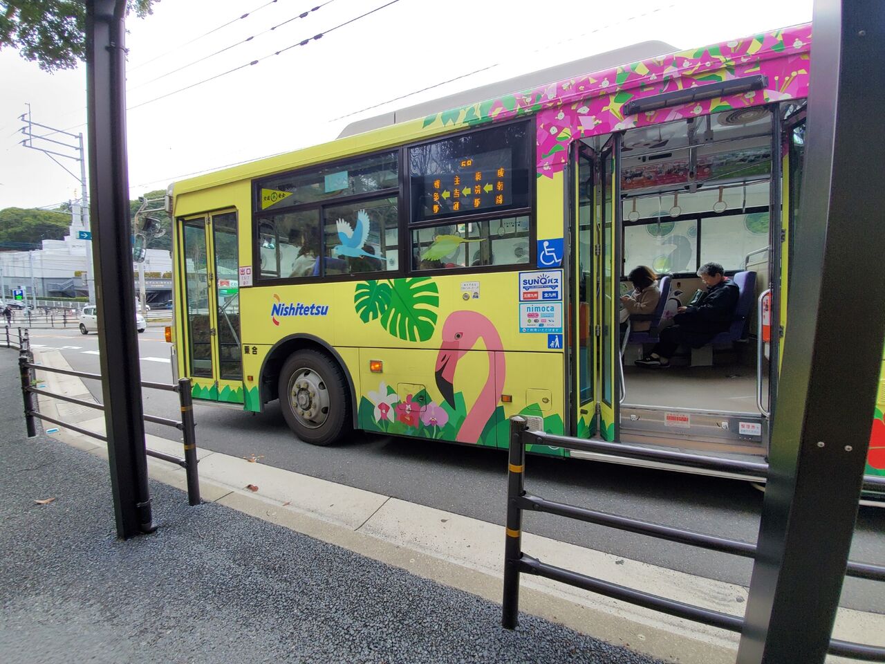 1月 福岡市動物園 レッサーパンダに会いに 1月 福岡市動物園 レッサーパンダに会いに