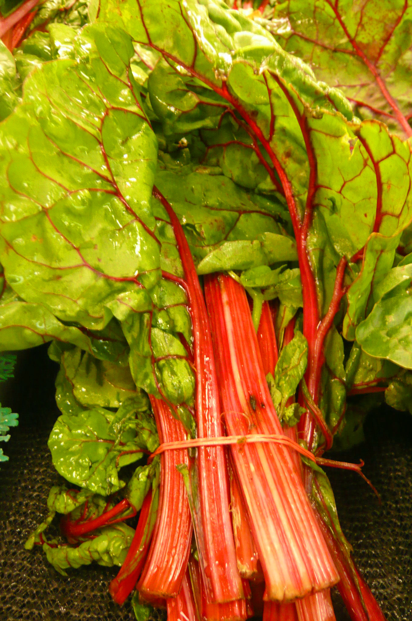 スイスチャード Swiss Chard ってどんな野菜 アメリカごはん 田舎町でのステキな生活