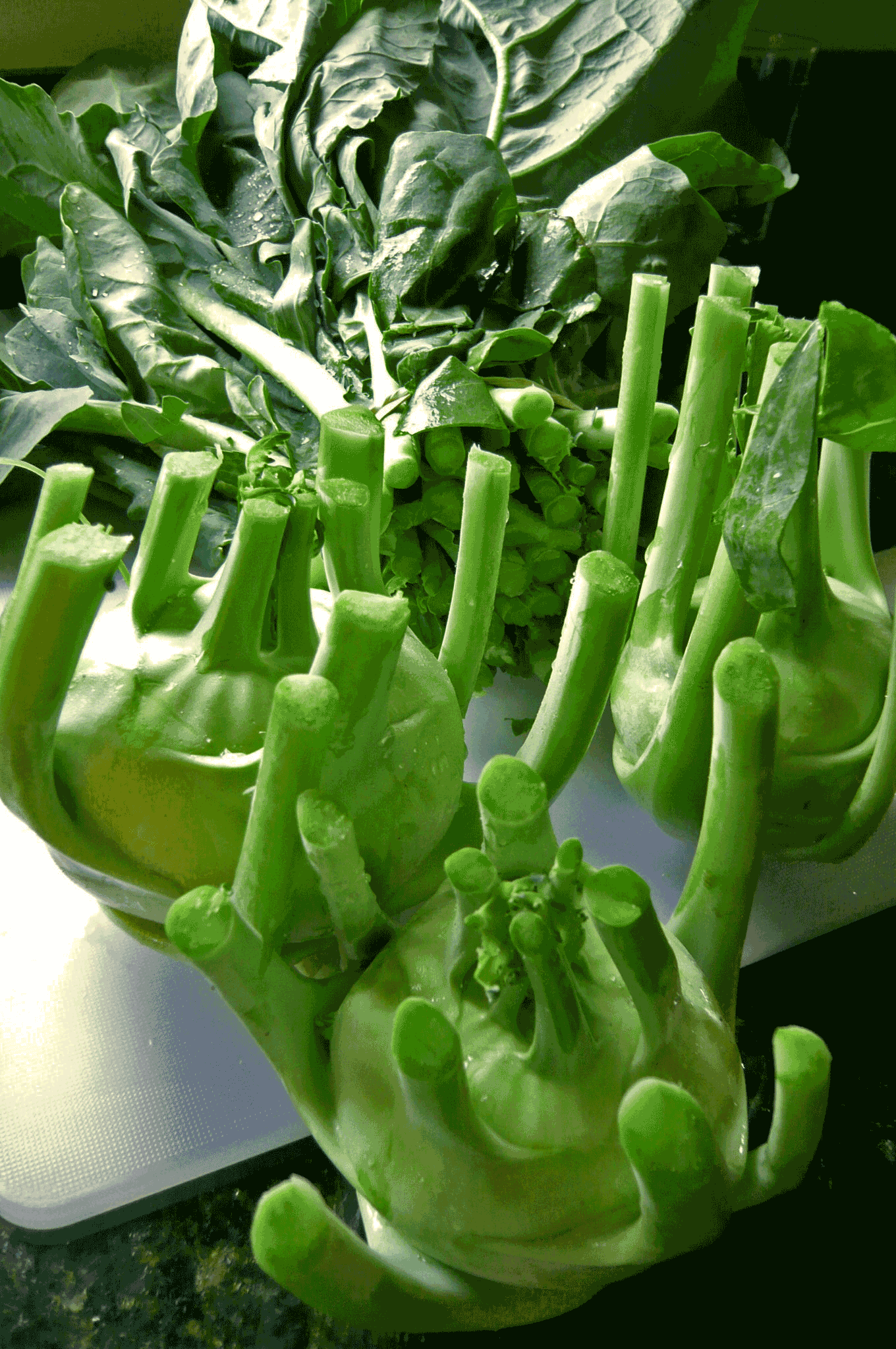 コールラビ Kohlrabi ってどんな野菜 アメリカごはん 田舎町でのステキな生活