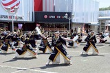 IMG_8679
