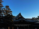 IMG_1262