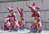 IMG_4757