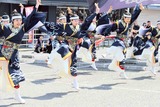 IMG_8687