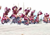 IMG_4787