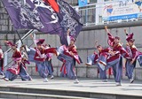 IMG_4768